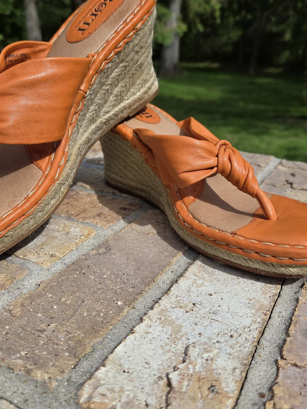Born cetina orange